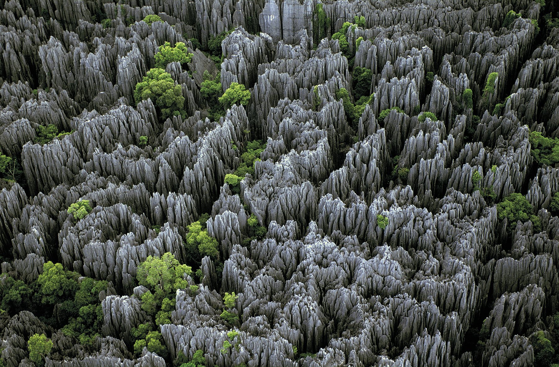 Formaciones rocosas de los Tsingy en Madagascar