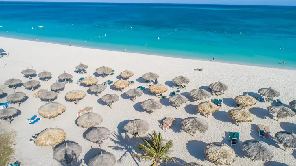 Árbol divi-divi en Eagle Beach en Aruba