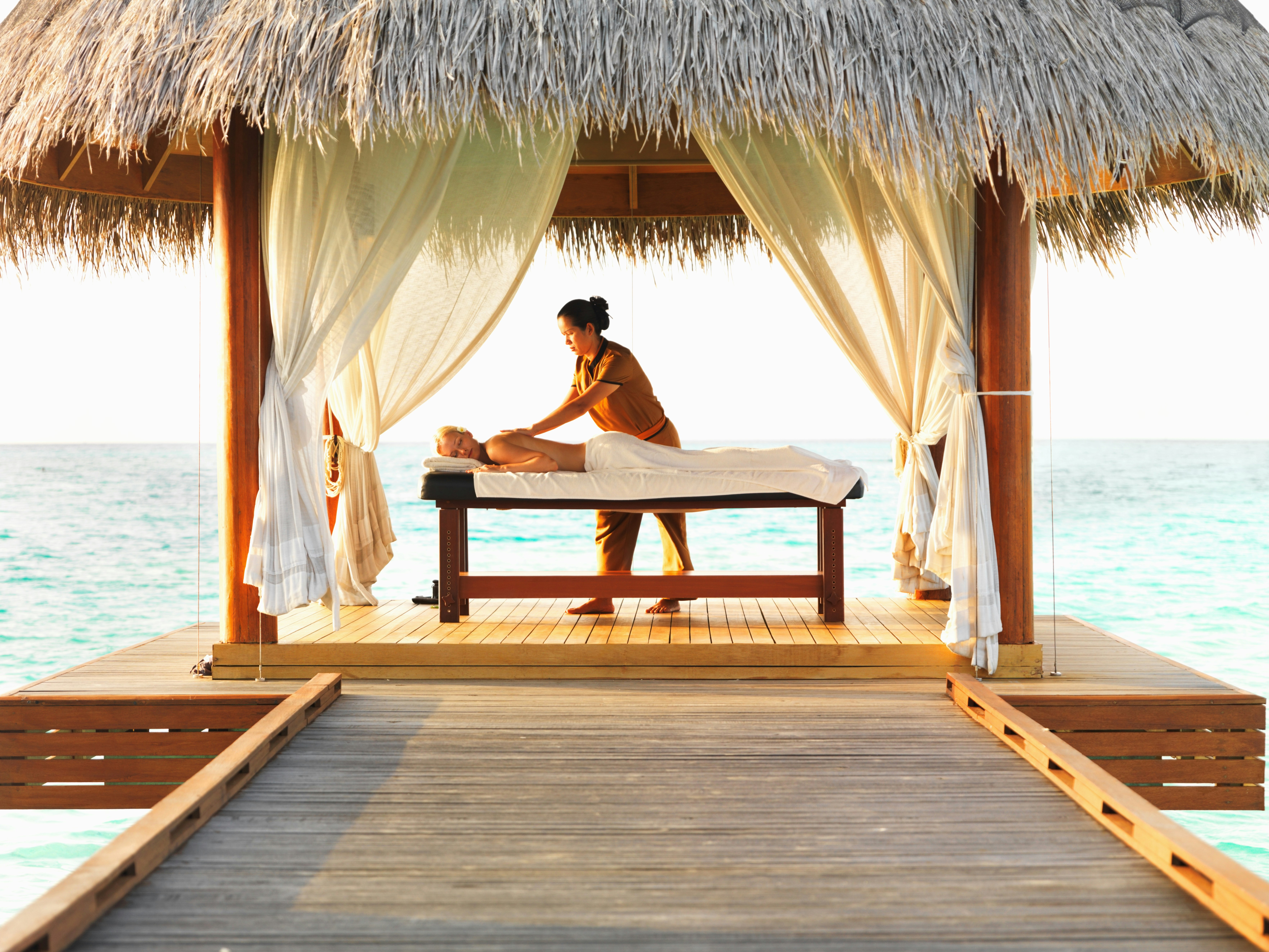 Vida marina en el arrecife