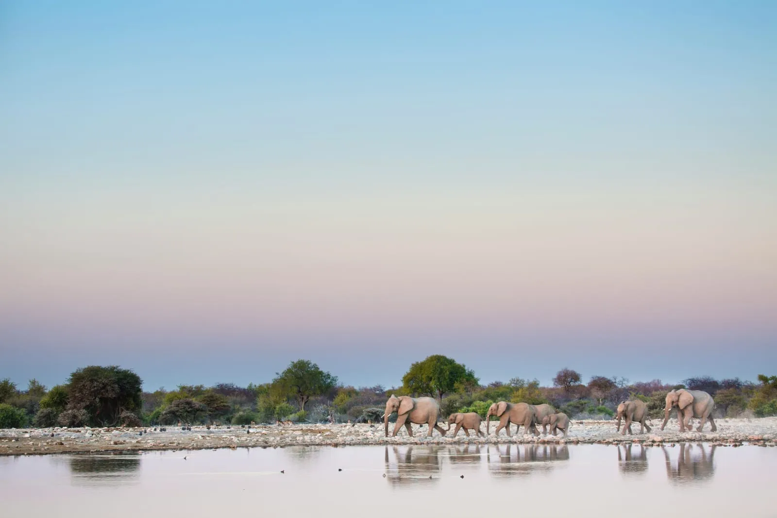 Paisaje de Namibia