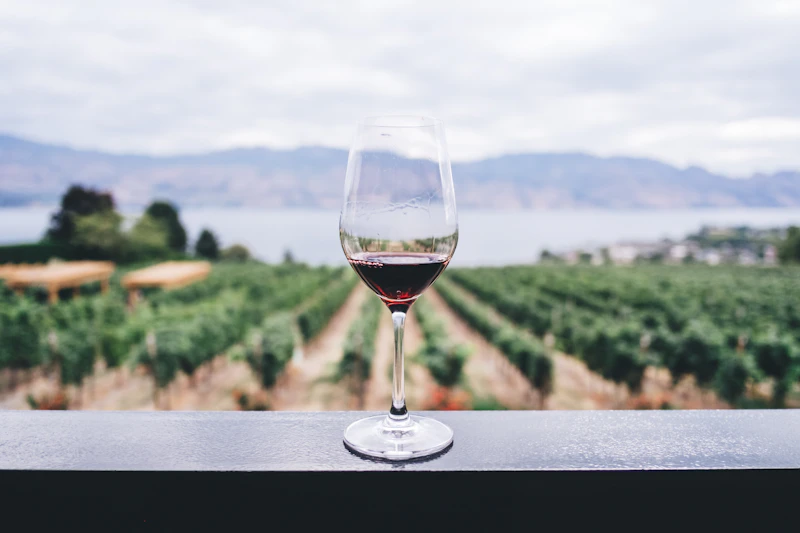 Viñedos del Valle de Colchagua en Chile