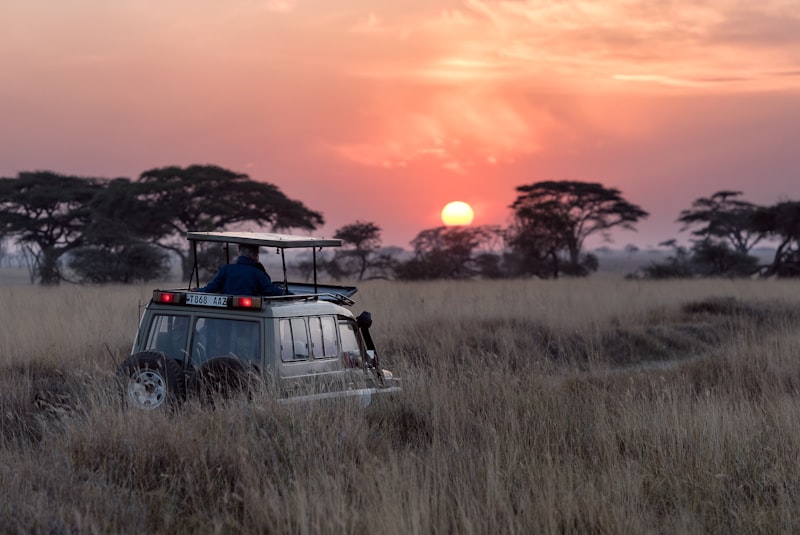 Safari al amanecer en la sabana africana