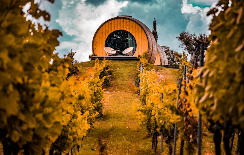 Finca tradicional en el Douro en Portugal