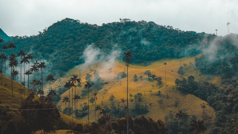 Montañas del Eje Cafetero en Colombia