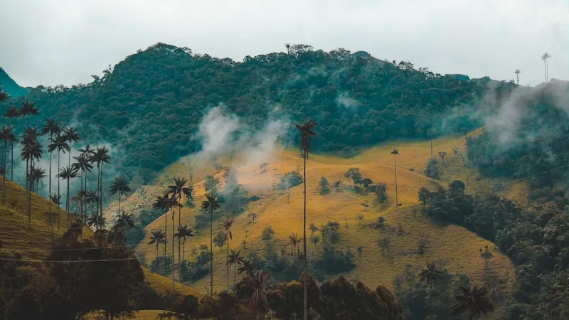 Montañas del Eje Cafetero en Colombia