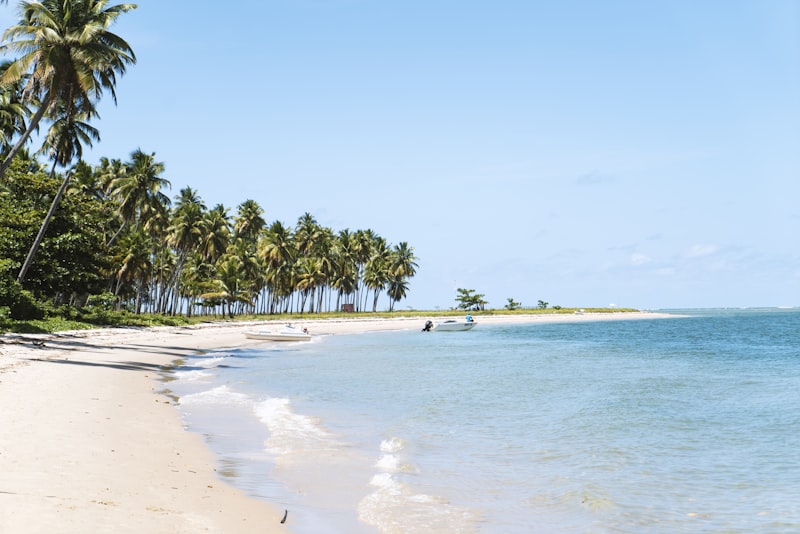 Playa tropical rodeada de palmeras en Brasil