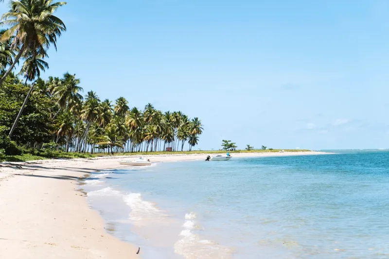 Playa tropical rodeada de palmeras en Brasil
