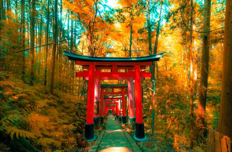 Puerta sintoísta en Kioto
