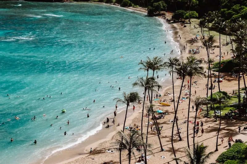 Playa de Oahu con palmeras en Hawái