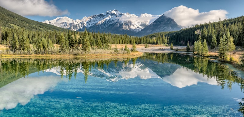 Río entre bosques y montañas en Banff en Canadá