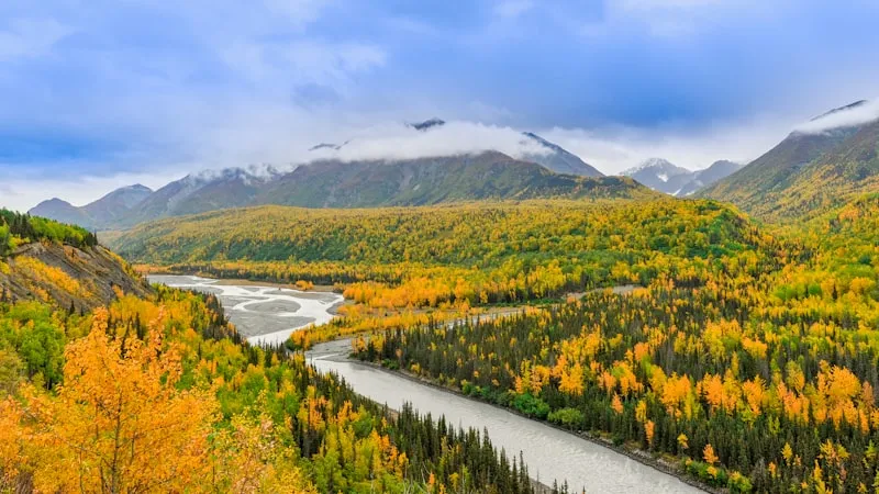 Río junto al bosque en Alaska
