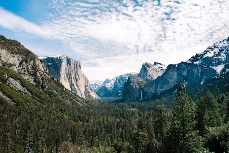 Secuoyas y cielo nublado en Yosemite en Costa Oeste USA