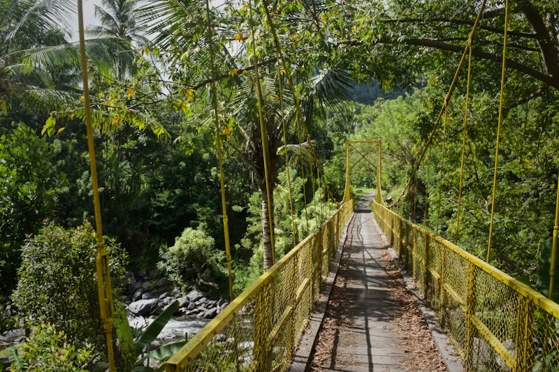 Puente en la selva de Munduk en Bali