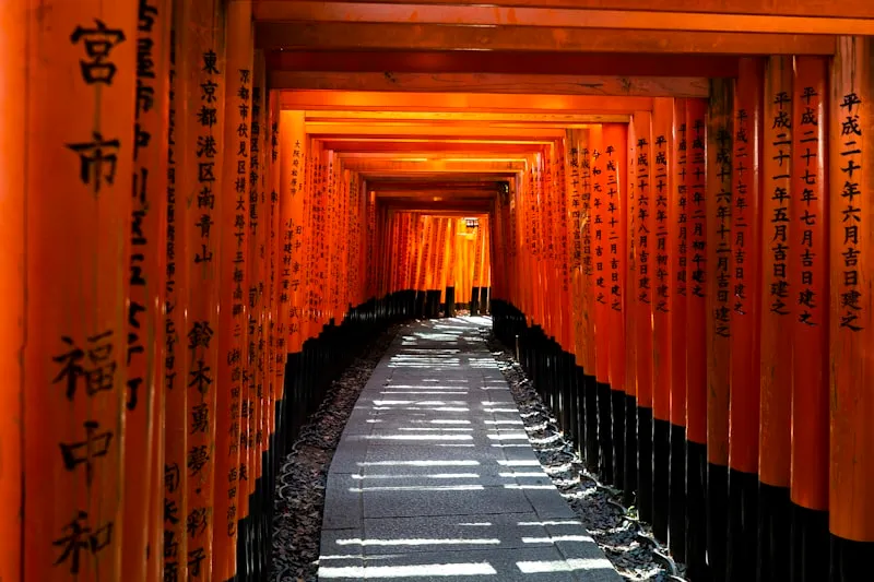 Torii rojos de Fushimi Inari, Japón
