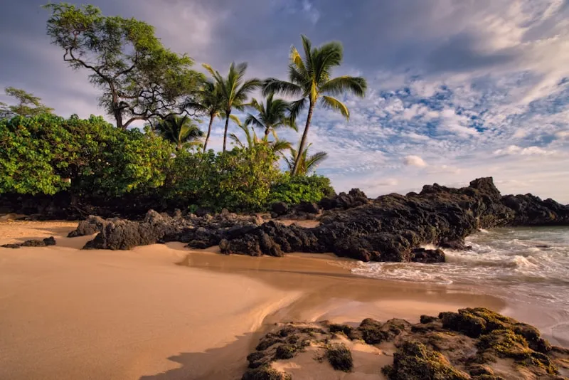 Costa de Maui con vegetación tropical en Hawái