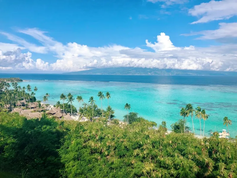 Isla tropical con palmeras en Moorea en Polinesia Francesa