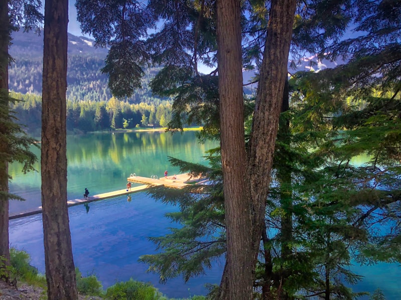 Lago y bosque en Whistler en Canadá