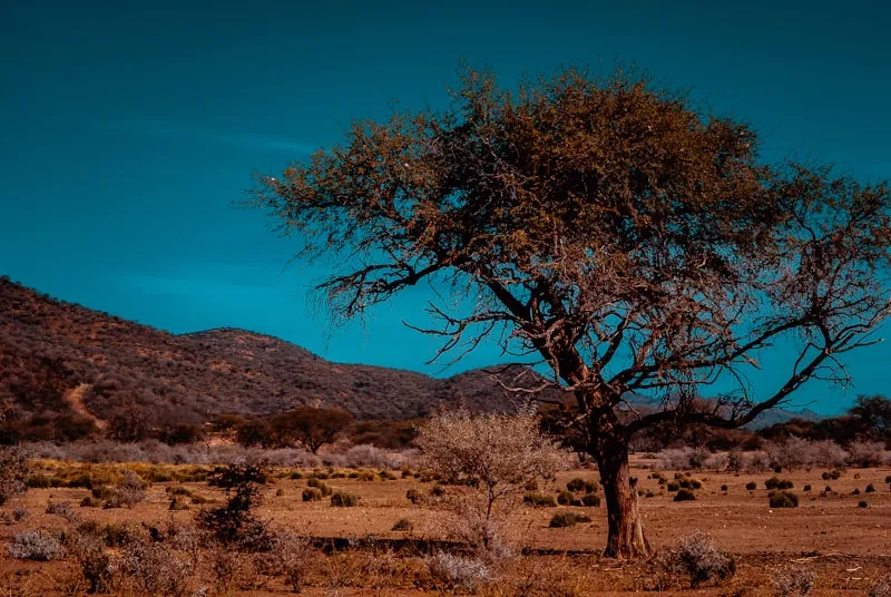 Paisaje desértico de Namibia