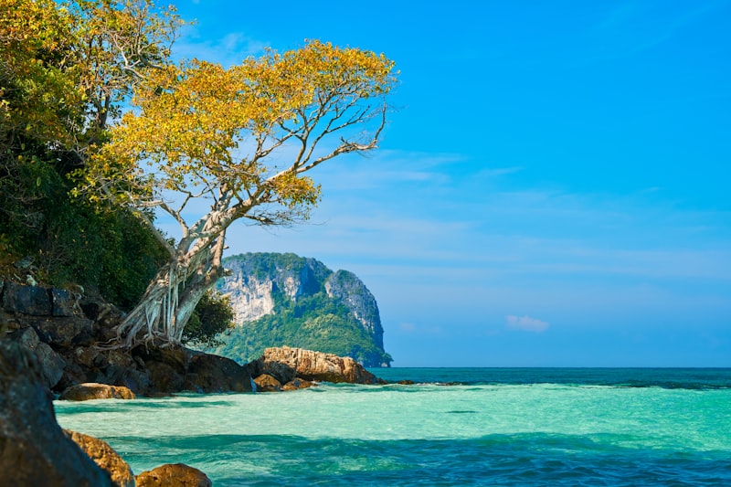 Paisaje tropical de Krabi en Tailandia