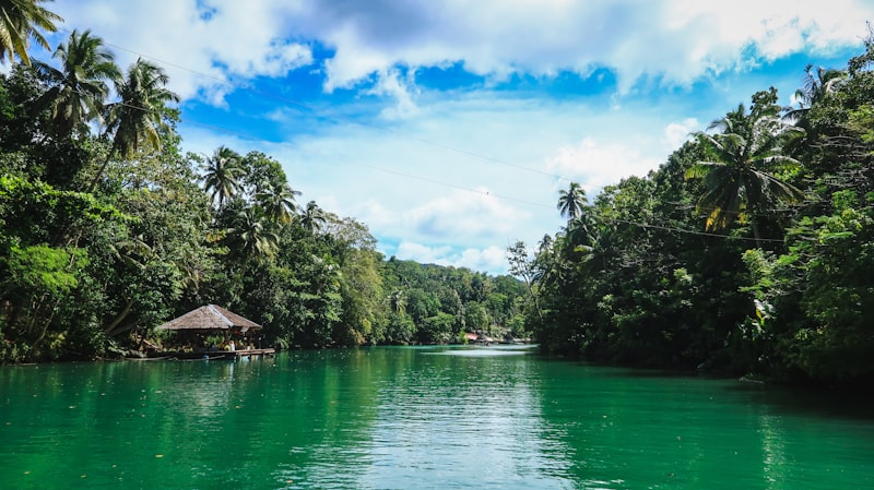 Río Loboc en Bohol en Filipinas