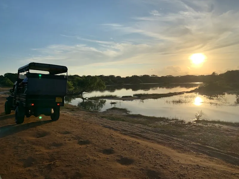 Paisaje del Parque Nacional Yala en Sri Lanka