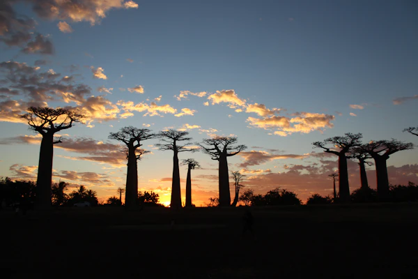 Madagascar