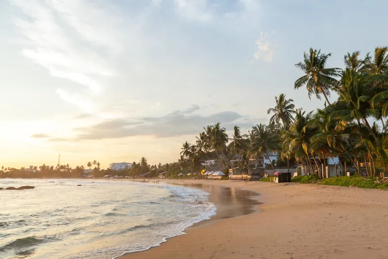 Playa con palmeras en Sri Lanka