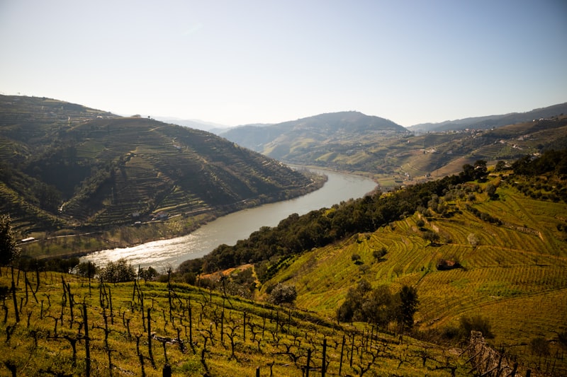 Río Douro entre viñedos en Portugal