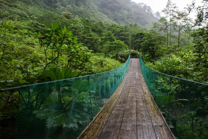 Puentes colgantes en la selva de Arenal en Costa Rica