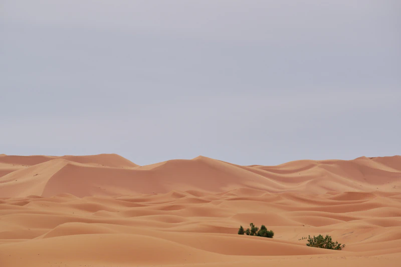 Dunas del desierto de Merzouga en Marruecos