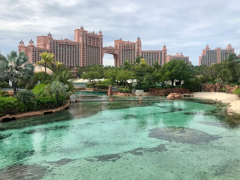 Vegetación tropical junto al agua en Nassau en Bahamas