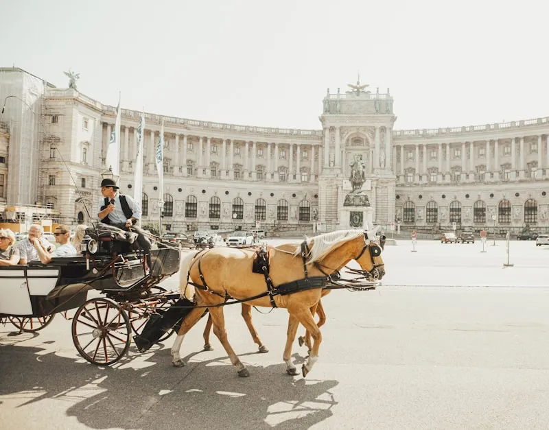 Carruaje de caballos en Viena