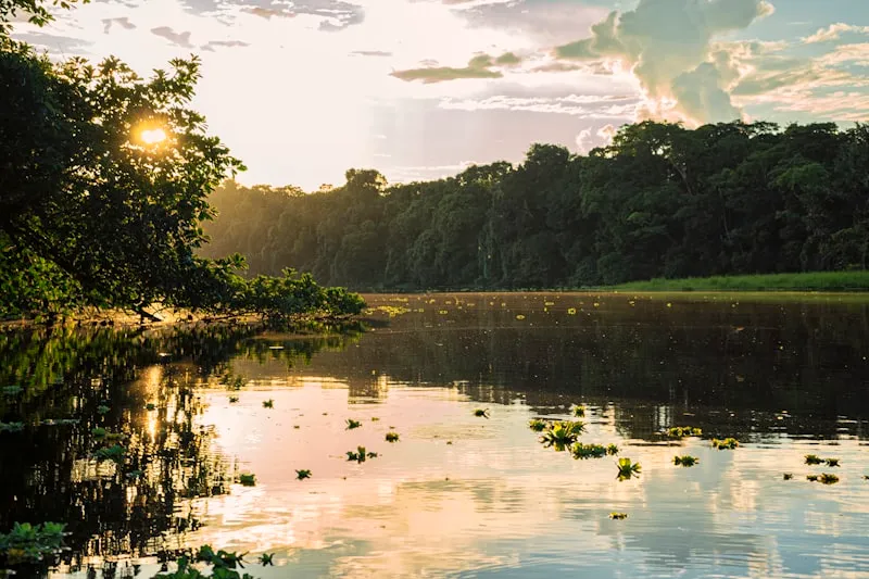 Selva amazónica ecuatoriana en Ecuador