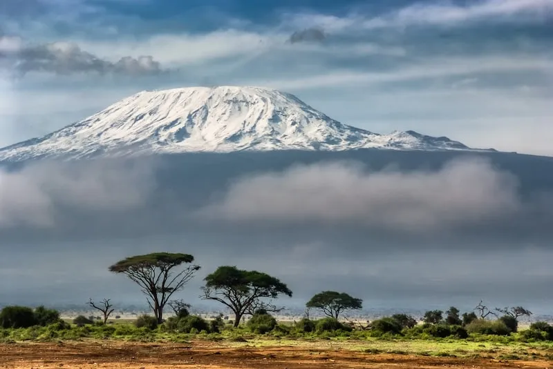 Monte Kilimanjaro con árboles en primer plano en Kenia