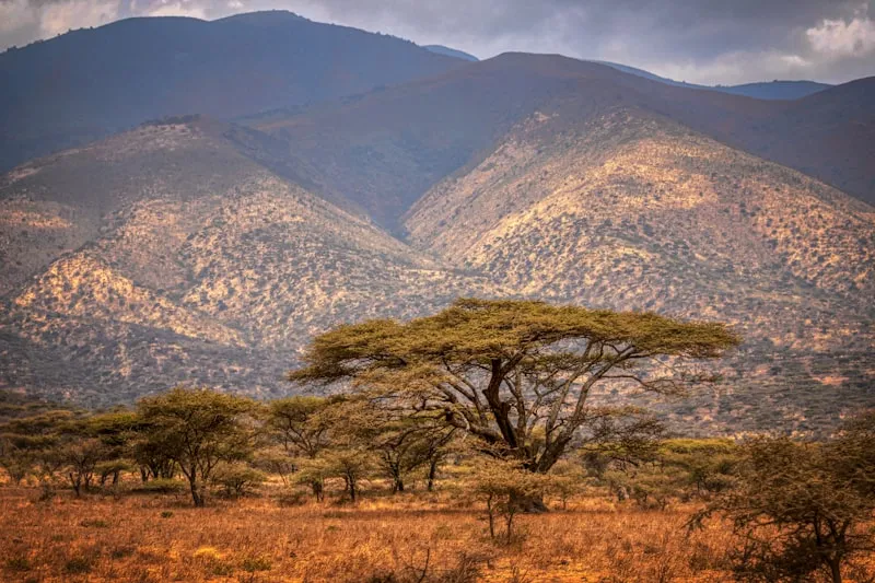 Paisaje del cráter del Ngorongoro en Tanzania