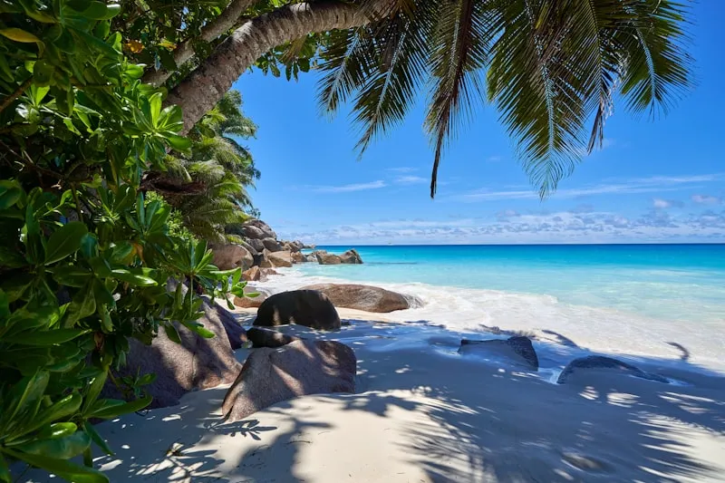 Olas en la costa de Praslin en Seychelles