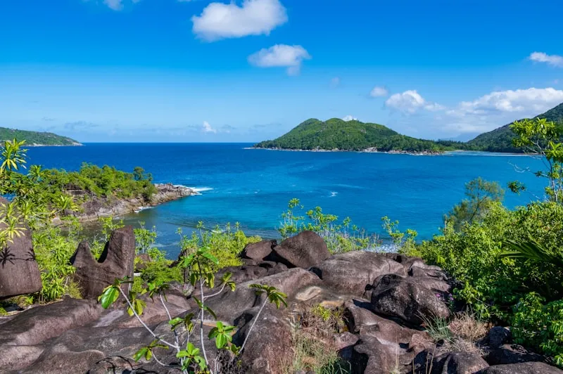 Selva tropical en Mahé en Seychelles