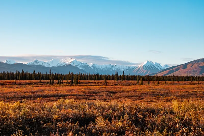 Tundra y montañas en Denali en Alaska