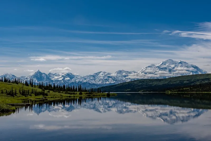 Lago y bosque en Denali en Alaska