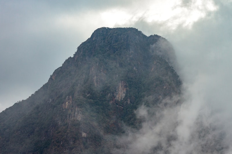 Paisaje cafetero en Colombia