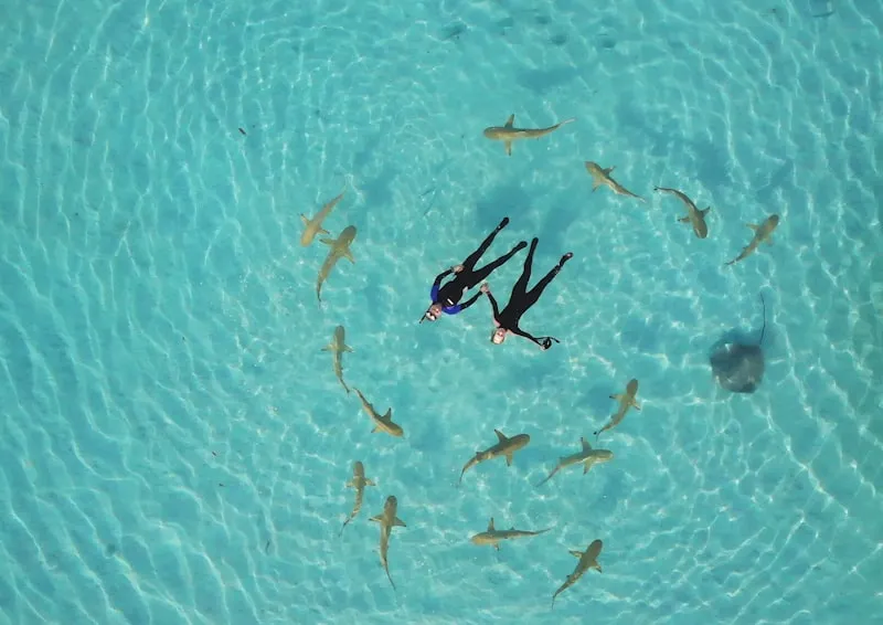 Snorkel con peces en Moorea en Polinesia Francesa