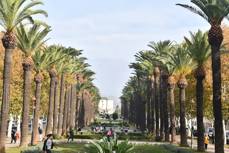 Jardín en Fez en Marruecos