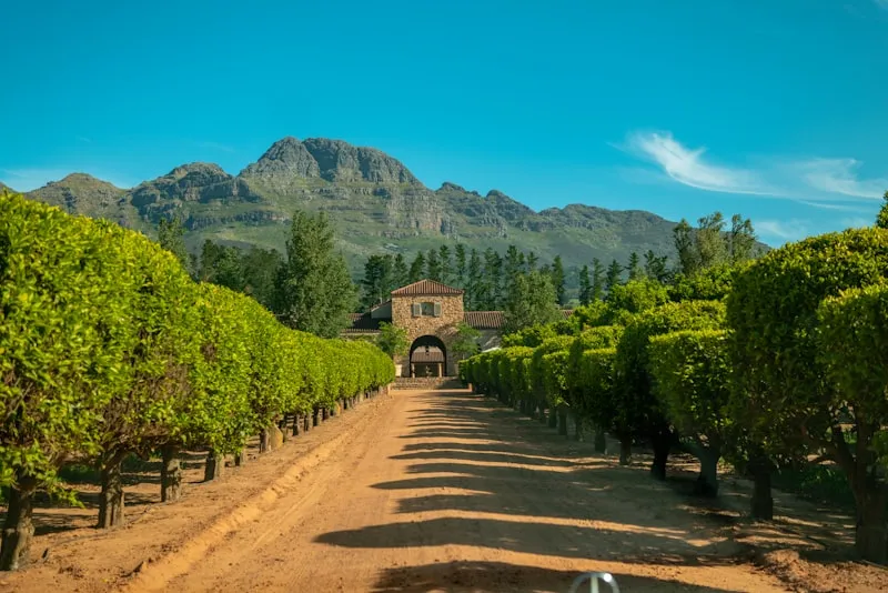 Camino entre montañas en Ciudad del Cabo