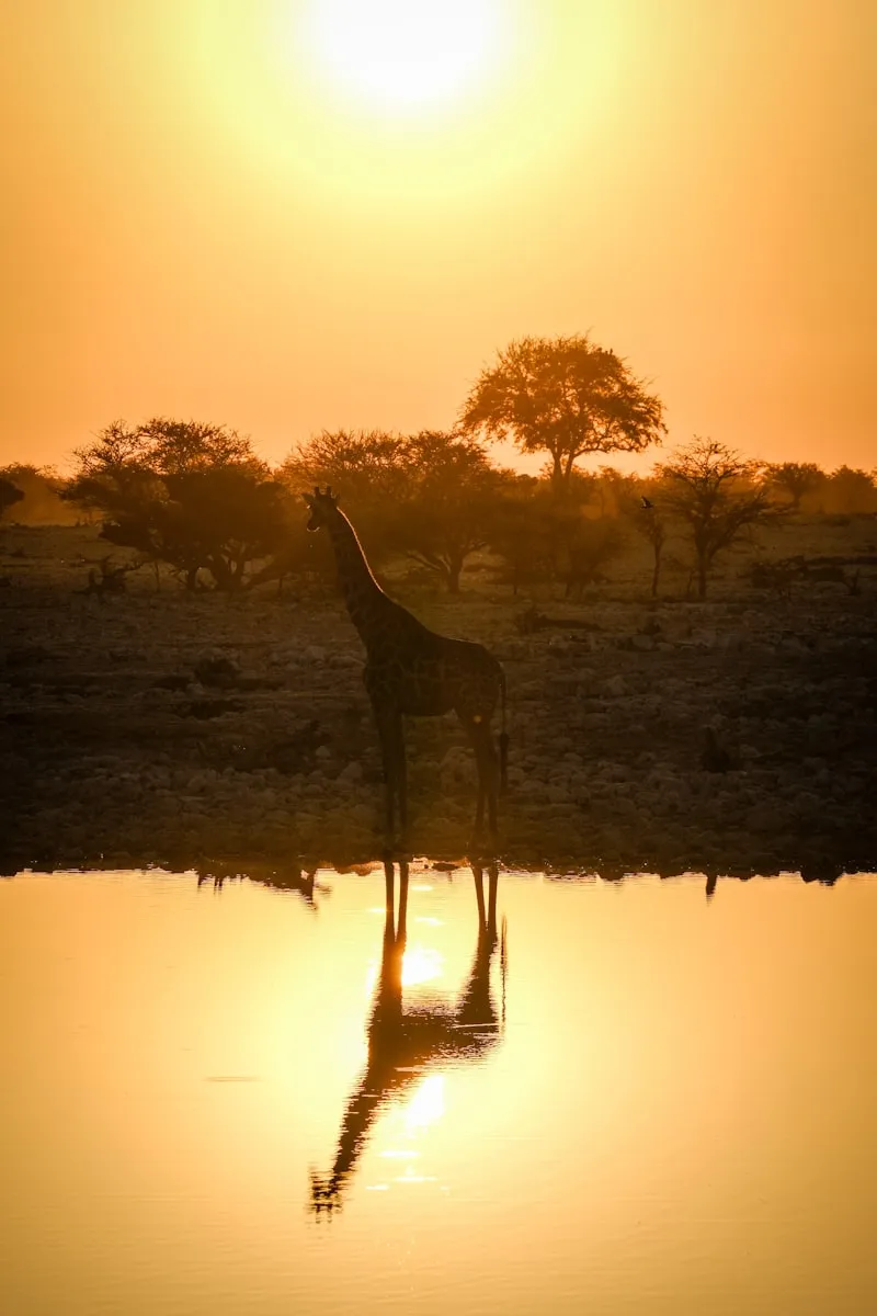 Jirafa frente al agua en Kenia