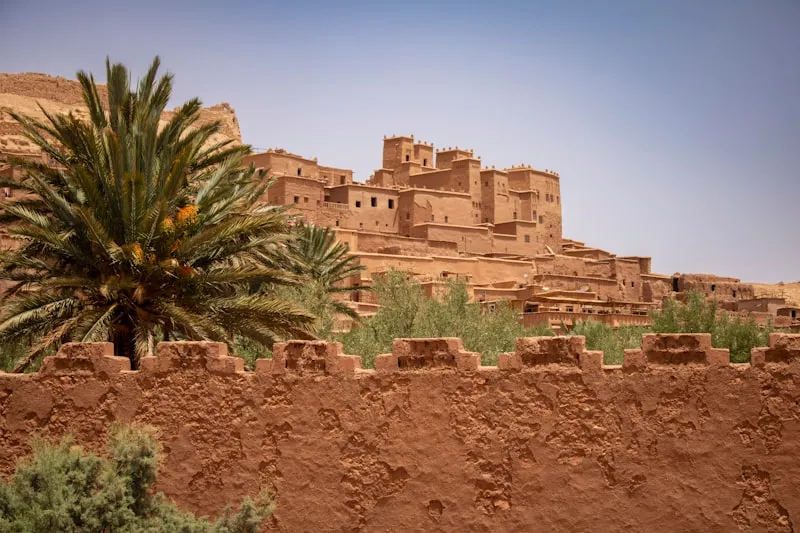 Paisaje desértico con palmera en Marruecos