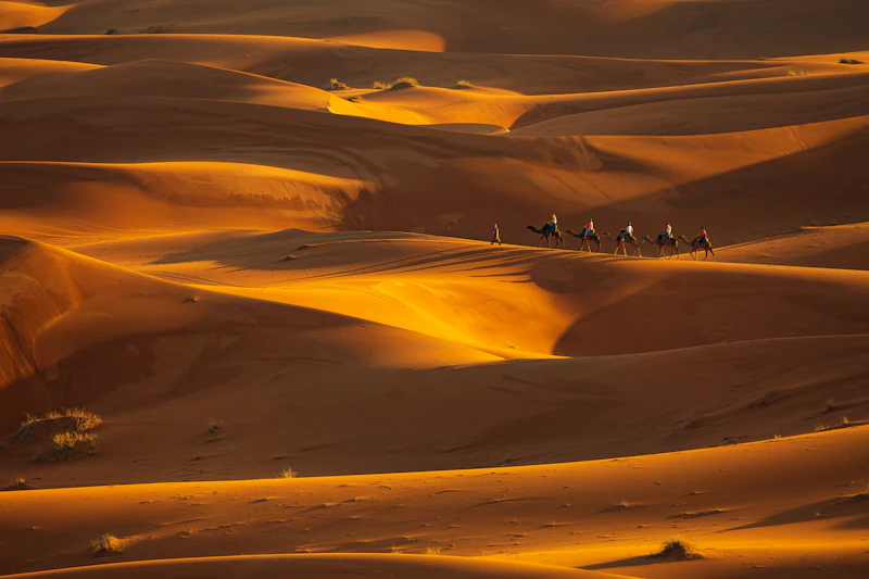 Caravana de camellos en el desierto en Marruecos